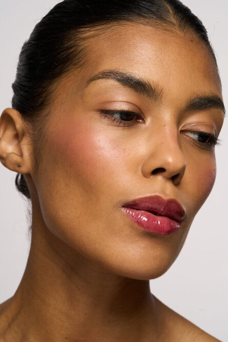 lipss-february0111